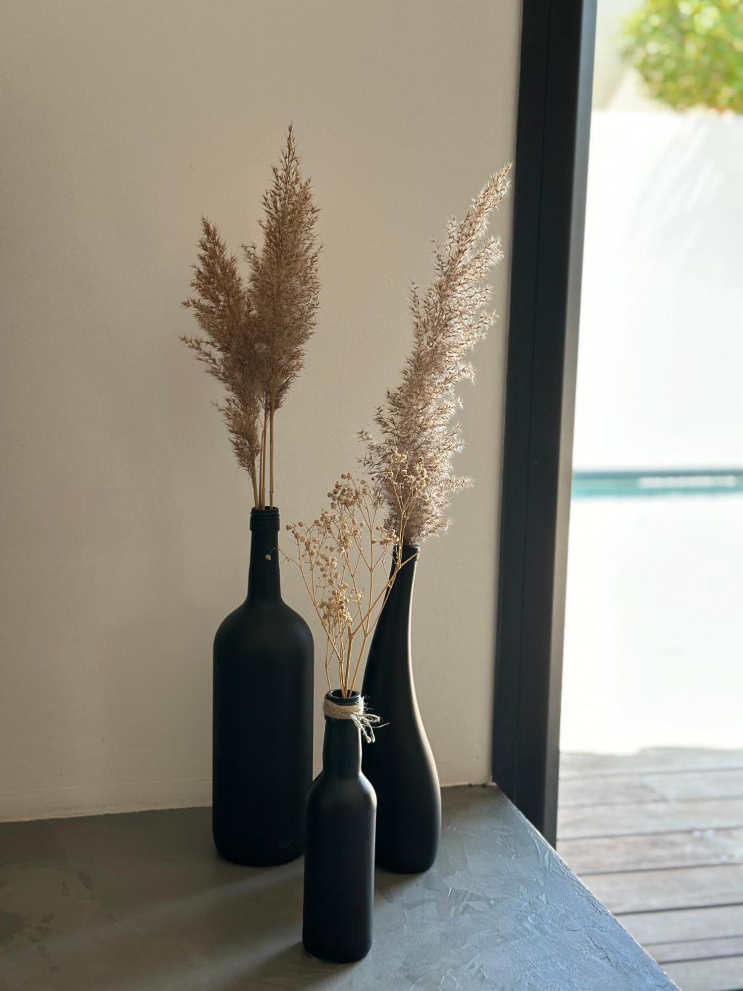 Maison Contemporaine Avec Piscine Privee Chauffee, Entre Plages Et Provence, Borne 11 Kw イストル エクステリア 写真