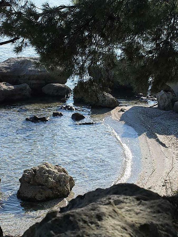 Maison Contemporaine Avec Piscine Privee Chauffee, Entre Plages Et Provence, Borne 11 Kw イストル エクステリア 写真